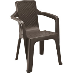 Silla Eterna Con Brazos RImax